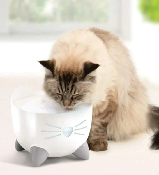 Catit Pixi Cat Water Drinking Fountain