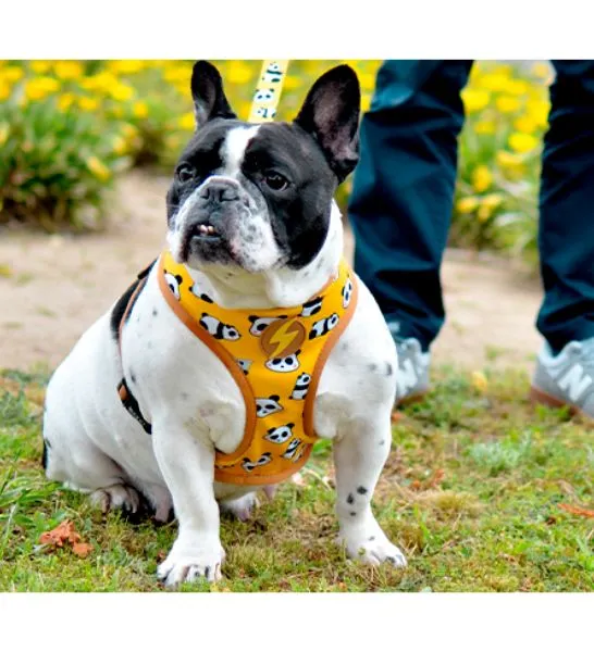Dashi Snooze Neo Mesh Harness for Dogs
