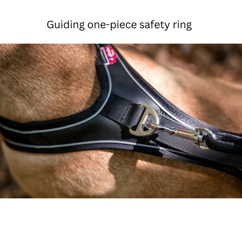 Curli Belka Comfort Adjustable Harness With Padded Buckles For Dogs