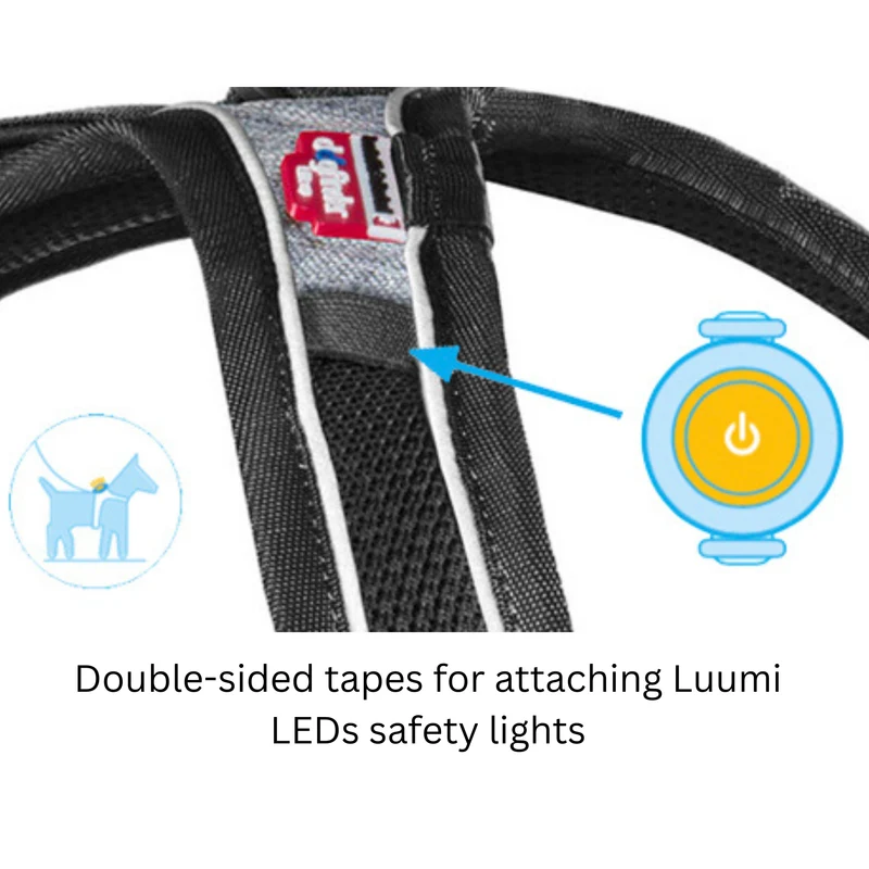 Curli Belka Comfort Adjustable Harness With Padded Buckles For Dogs