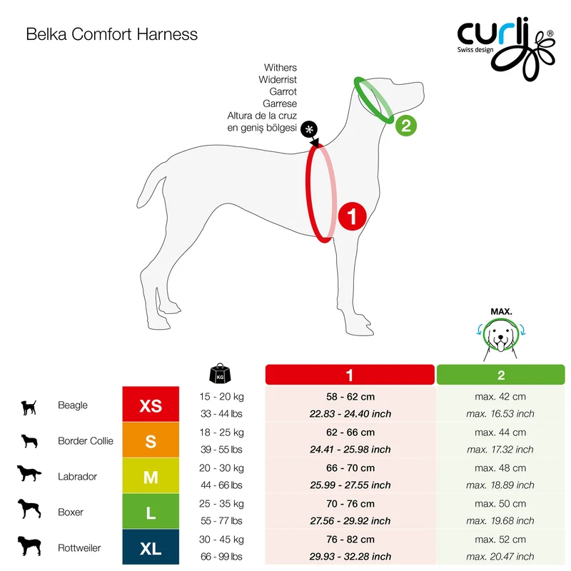 Curli Belka Comfort Adjustable Harness With Padded Buckles For Dogs