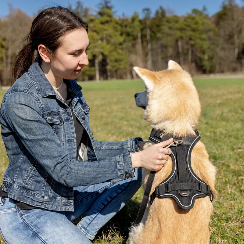 Curli Adjustable Nylon Leash for Dogs