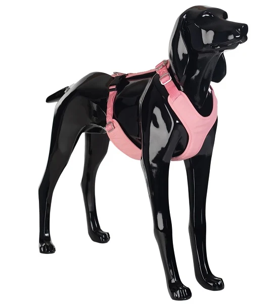 PAIKKA Visibility Harness for Dogs