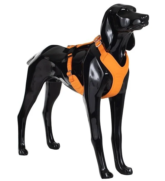 PAIKKA Visibility Harness for Dogs