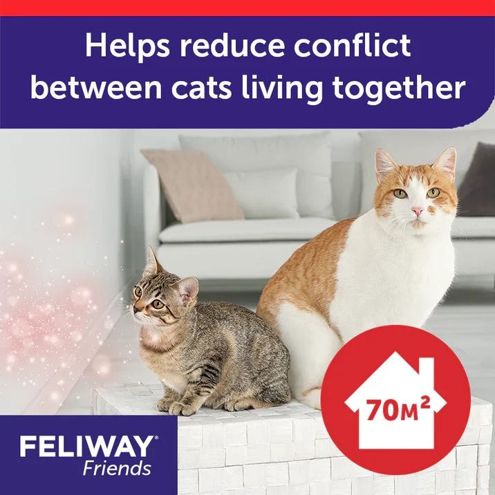 Feliway Friends Calming Diffuser + Refill For Cats 48ml