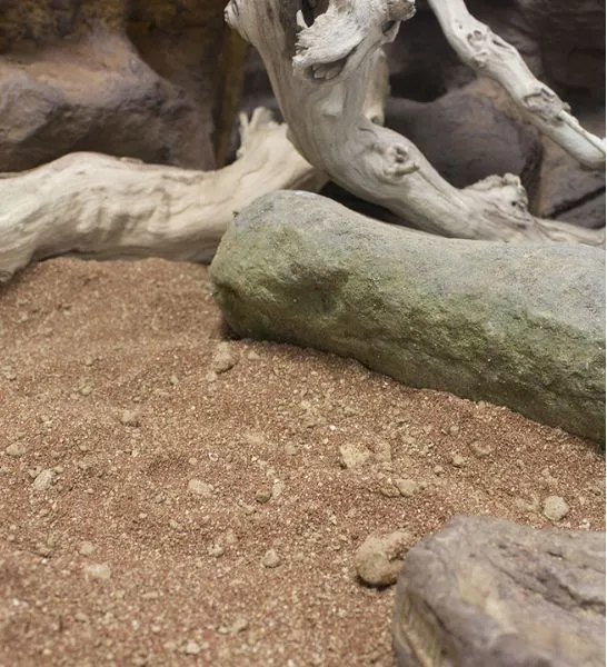 ProRep Beardie Life Mixed Desert Substrate for Bearded Dragons 10kg