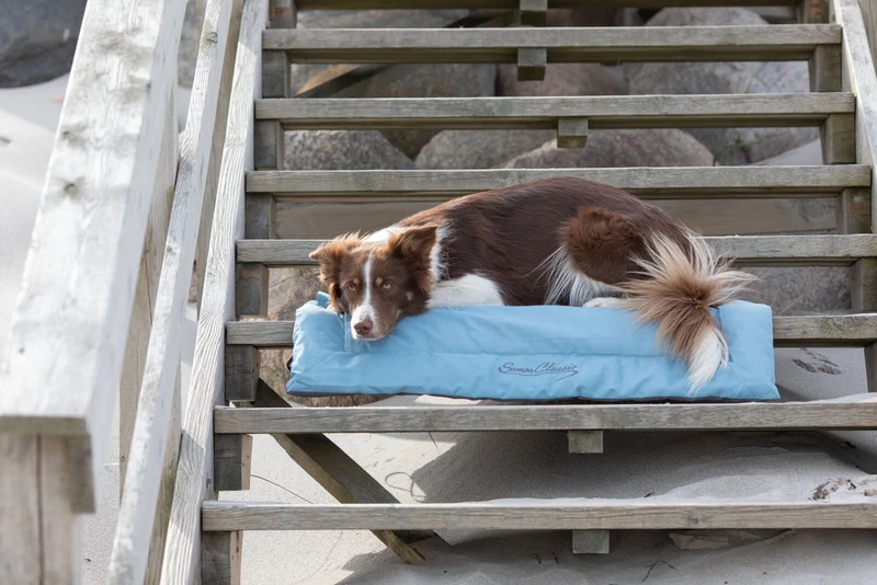 Trixie Samoa Classic Travel Blanket