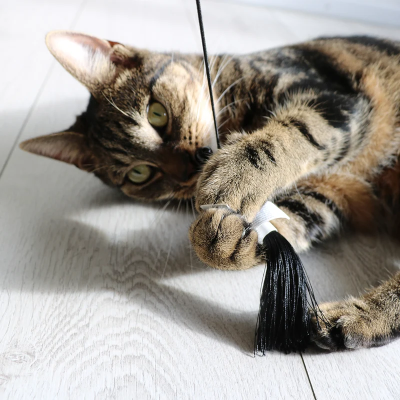 D&D Home Teddy Cat Rod Interactive Toy