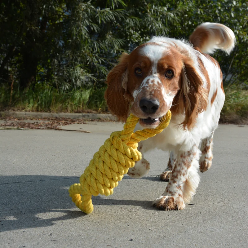 ebi Bite Me 'Tug Life' 2 Loops Playing Rope Dog Toy