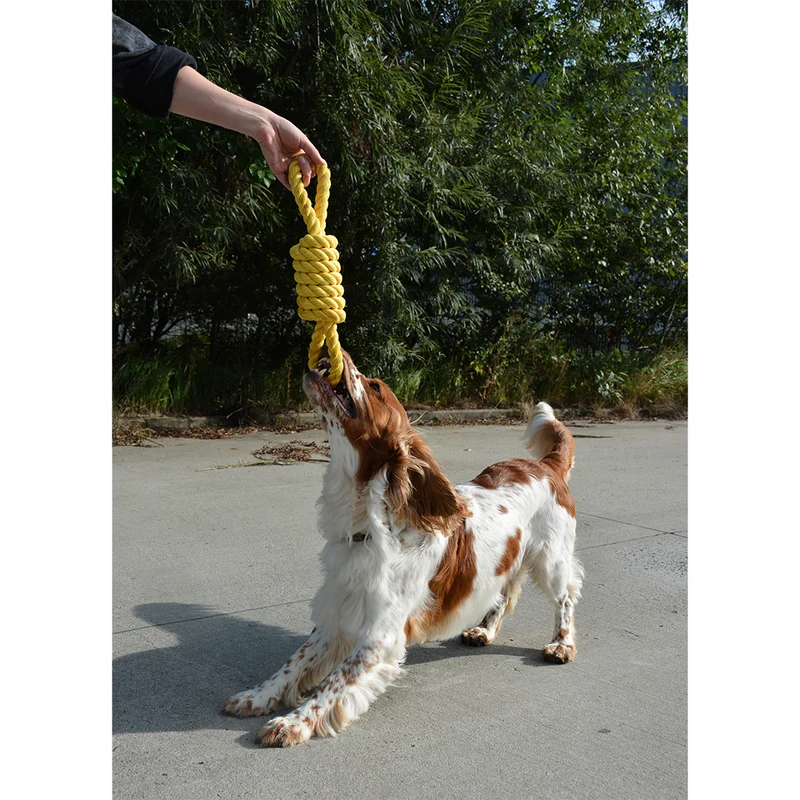 ebi Bite Me 'Tug Life' 2 Loops Playing Rope Dog Toy