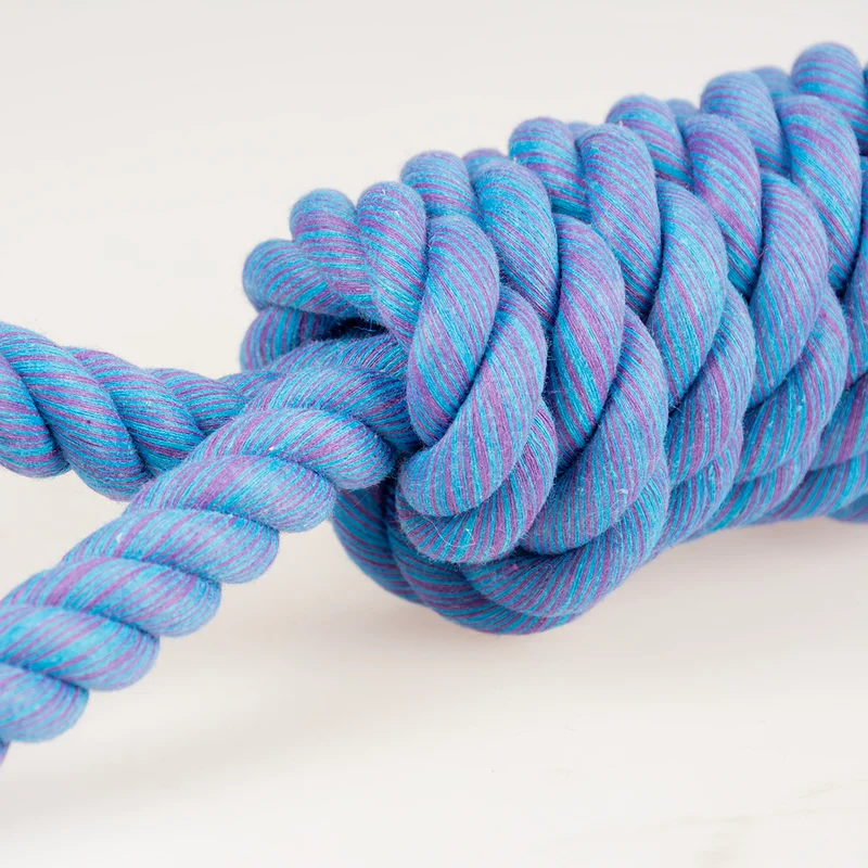 ebi Bite Me 'Tug Life' 2 Loops Playing Rope Dog Toy