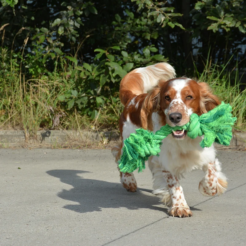 ebi Bite Me 'Do You Even Floss Dawg' Playing Rope Dog Toy