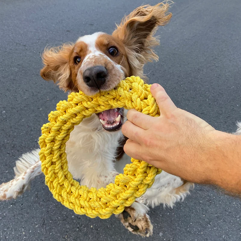ebi Bite Me 'Da-Chain' Braided Ring Dog Rope Toy