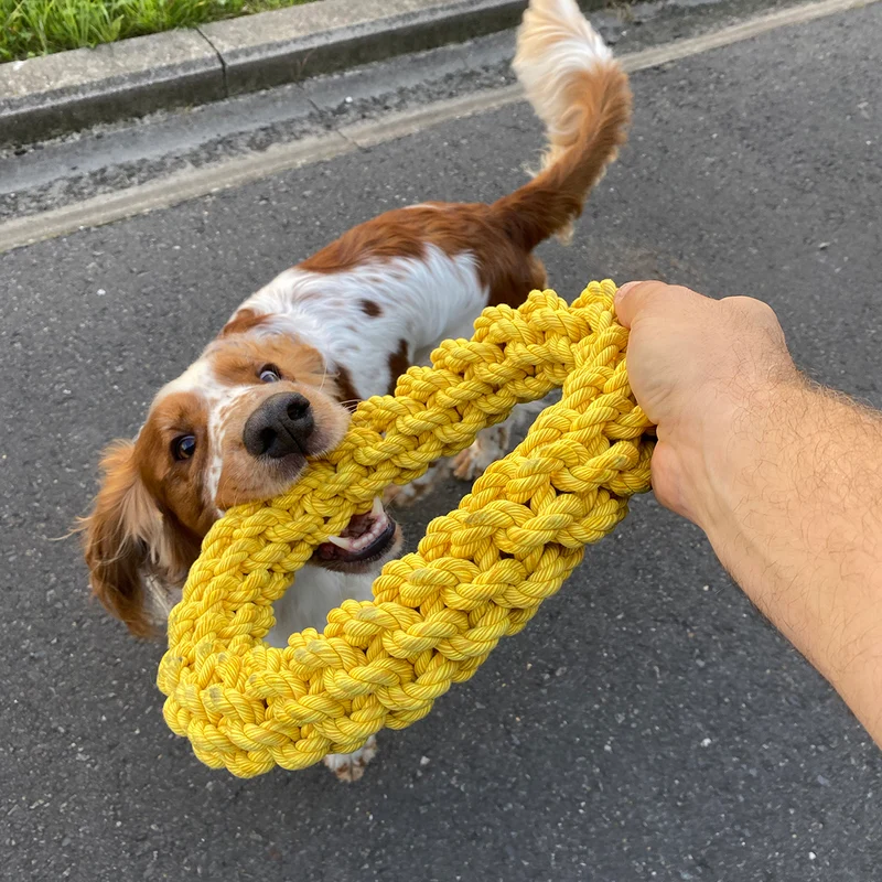 ebi Bite Me 'Da-Chain' Braided Ring Dog Rope Toy