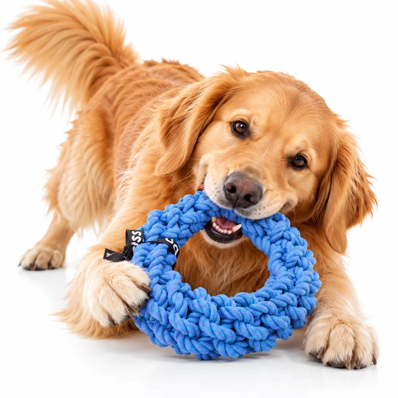 ebi Bite Me 'Da-Chain' Braided Ring Dog Rope Toy