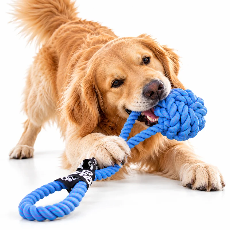 ebi Bite Me 'Are You Knots' Ball With Loop Dog Rope Toy