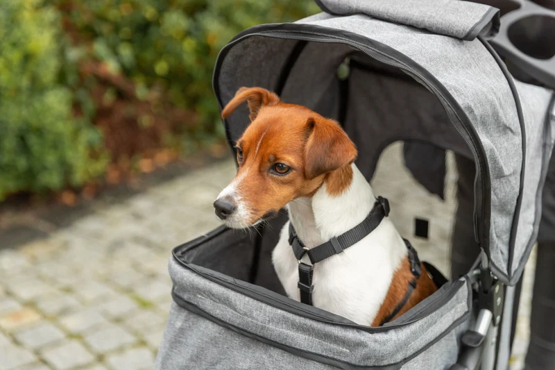 Trixie Buggy Stroller for Dogs & Cats 47x100x80cm