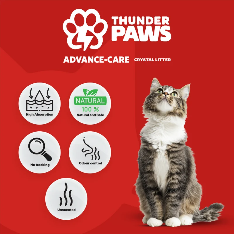 Thunder Paws Advance Care Non-Clumping Crystal Unscented Cat Litter 5+1 Liter FREE