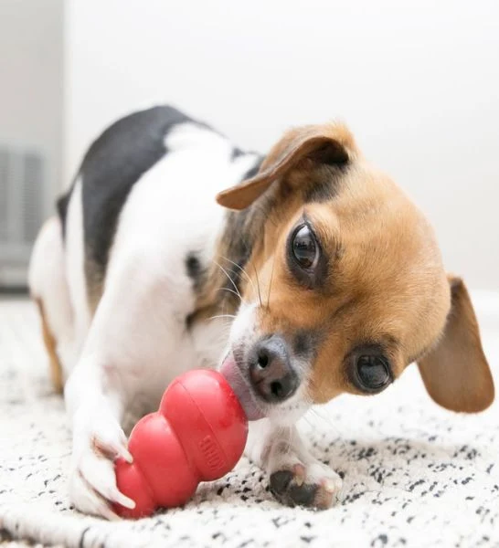 KONG Classic Cone Chew Toy for Dogs