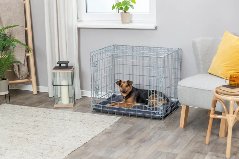 Trixie Galvanized 2 Door Wire Indoor & Travel Crate for Dogs & Cats
