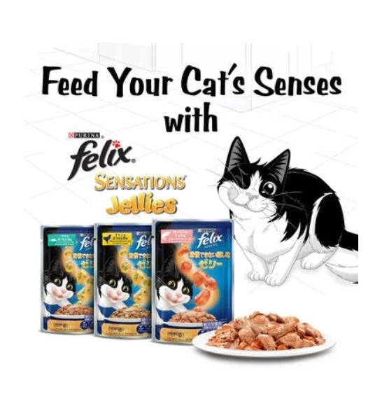 PURINA Felix Sensations Jellies with Salmon and Tomato Wet Cat Food 85G