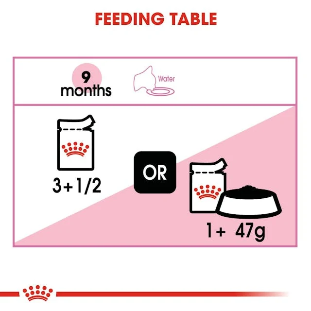 Royal Canin Kitten Sterilised In Jelly Wet Food 85G