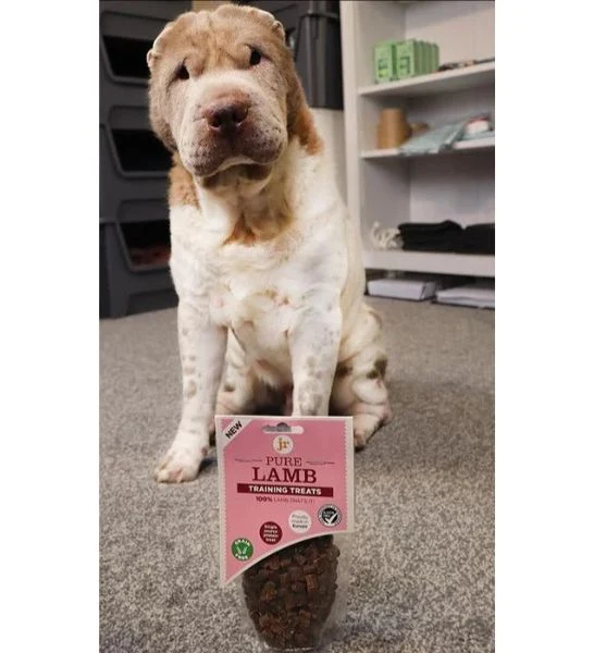 Jr Pet Products Pure Lamb Training Dog Treats 85G