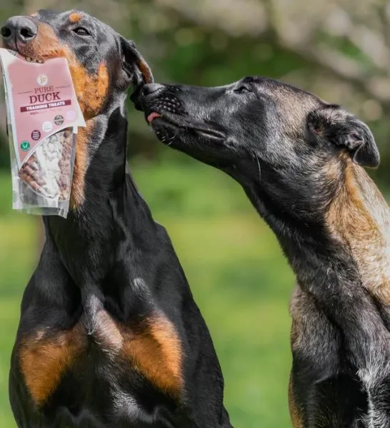 Jr Pet Products Pure Duck Training Dog Treats 85G