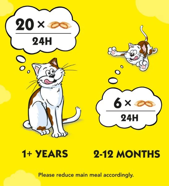 Dreamies Salmon Cat Treats 60G