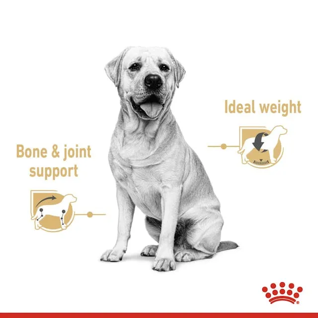 Royal Canin Labrador Retriever In Gravy Adult Wet Dog Food 140G