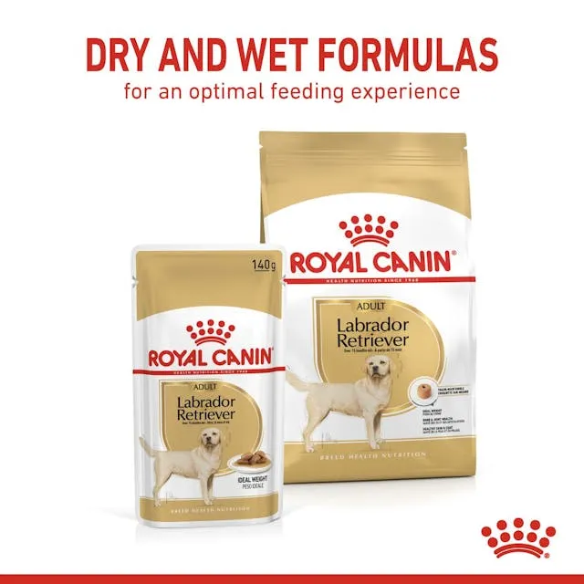Royal Canin Labrador Retriever In Gravy Adult Wet Dog Food 140G