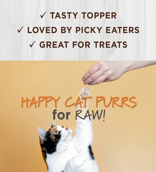 Instinct Raw Boost Mixers Chicken Freeze Dried Cat Food Topper 6OZ
