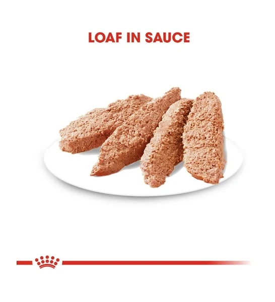 Royal Canin Coat Care In Loaf Dog Wet Food 85G