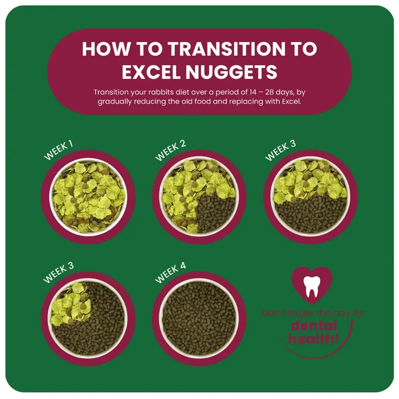 Burgess Excel Indoor Guinea Pig Nuggets 1.5KG
