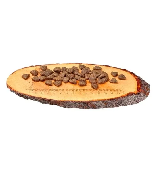 Carnilove Salmon for Adult Dog Dry Food
