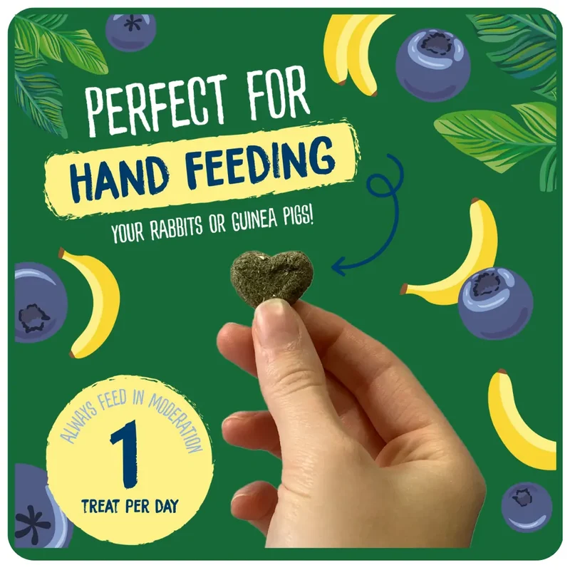 Burgess Excel Fruity Feasts Small Pet Treats 60G