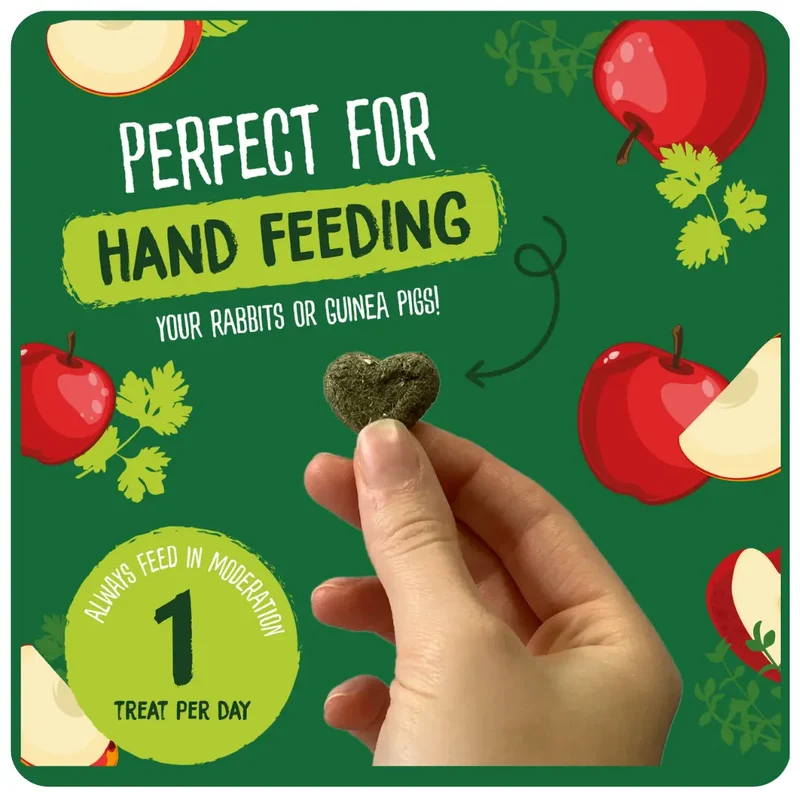 Burgess Excel Herby Hearts Small Pet Treats 60G