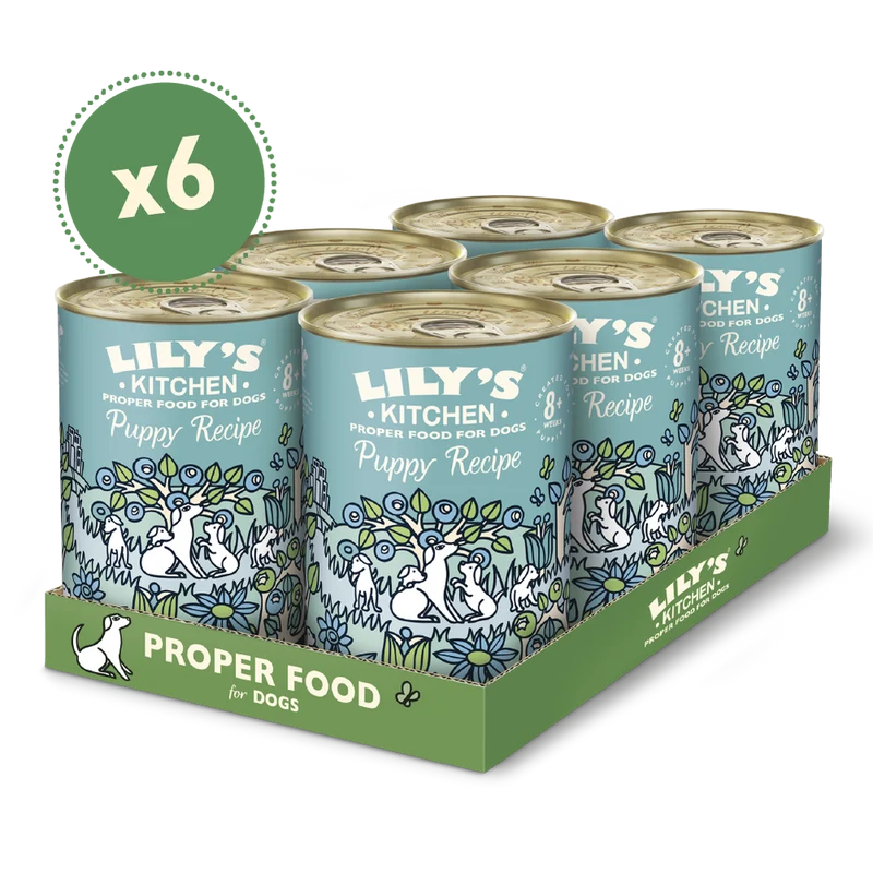 Lily's Kitchen Turkey & Duck Puppy Recipe Canned Wet Dog Food