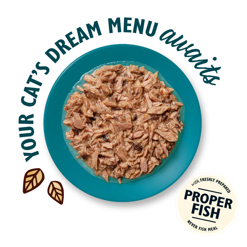 Lily's Kitchen Shredded Fillets In Broth Multipack Wet Cat Food For Sterilised Cat 8x70G