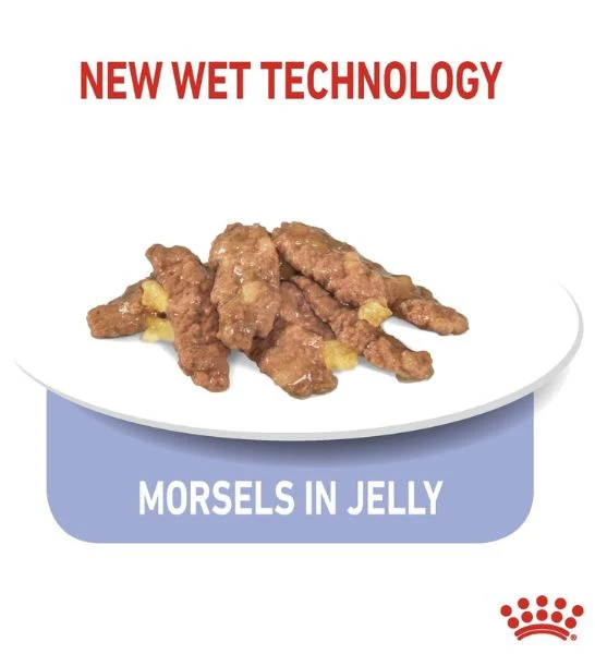Royal Canin Indoor Sterilised In Jelly Adult Cat Wet Food 85G