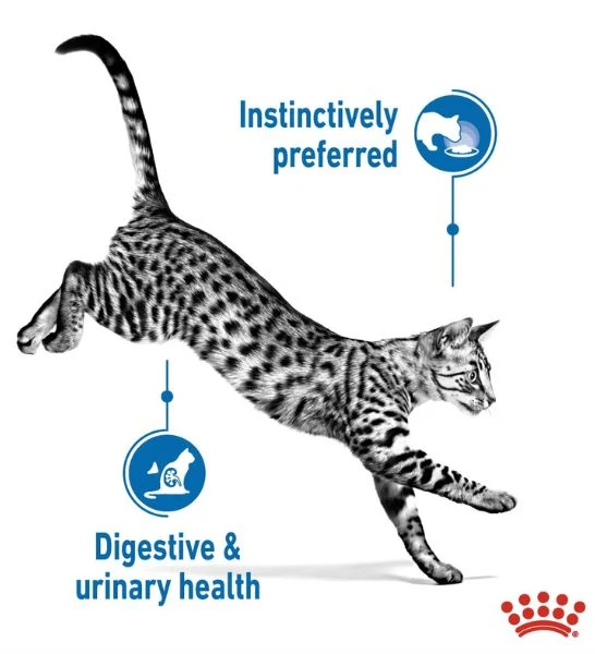Royal Canin Indoor Sterilised In Jelly Adult Cat Wet Food 85G