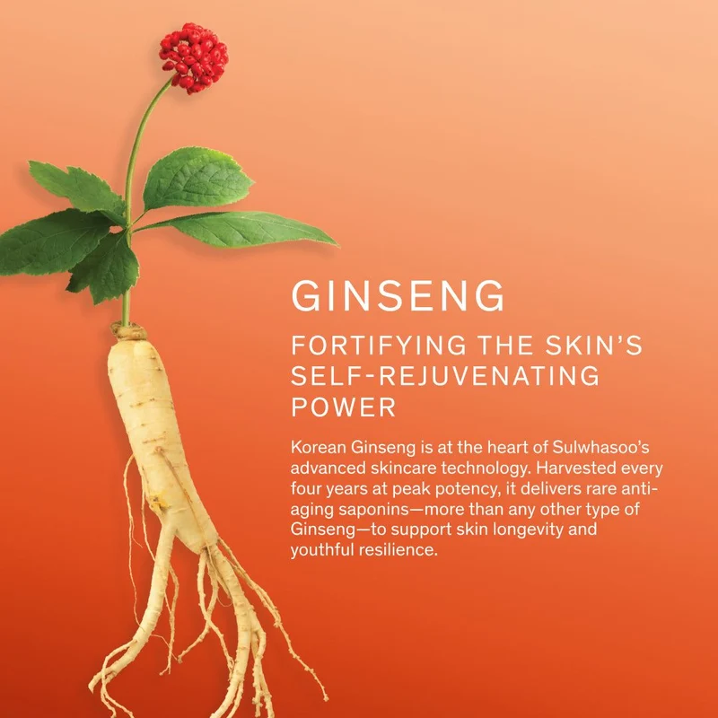 Sulwhasoo Concentrated Ginseng Rejuvenating Serum 30ml