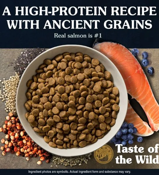 Taste of The Wild Ancient Stream Salmon Dry Dog Food