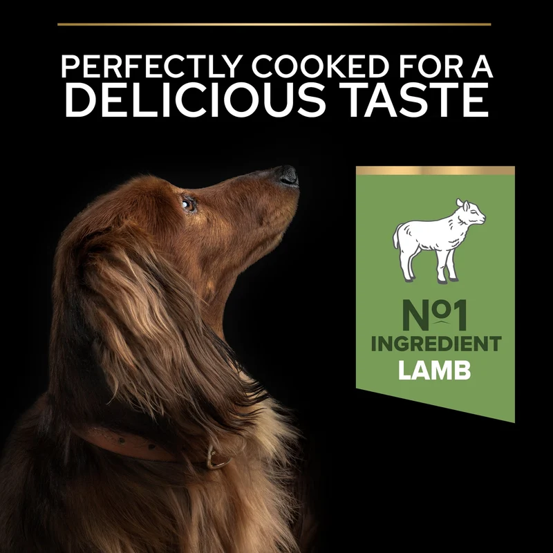 PURINA Pro Plan Sensitive Digestion Small & Mini Adult Dry Dog Food With Lamb