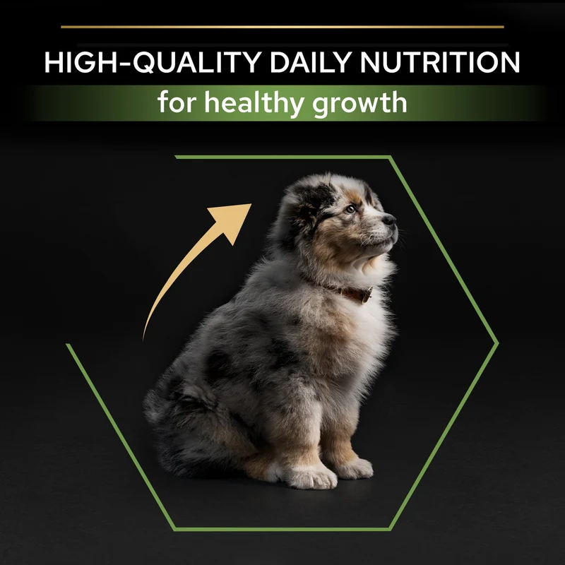 PURINA Pro Plan Optistart Chicken for Medium Puppy Dry Food