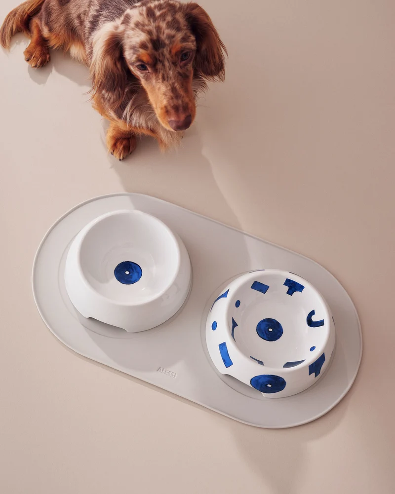 Itsumo pet Yunoki ware