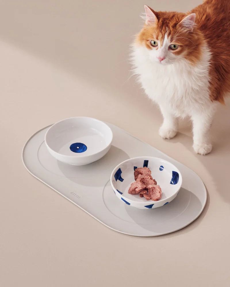 Itsumo pet
