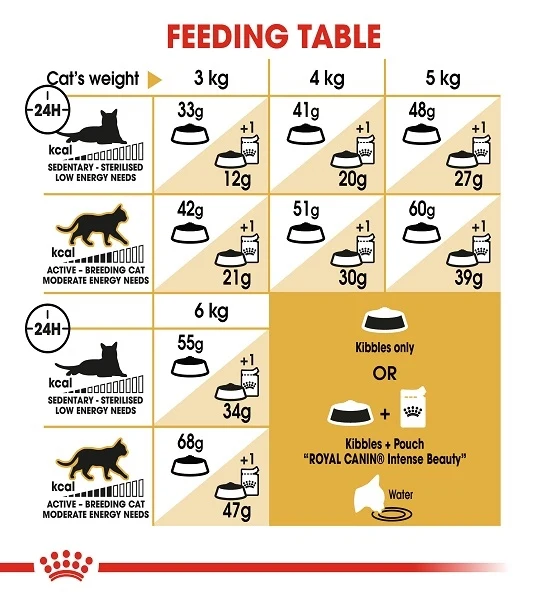 Royal Canin Siamese Adult Dry Cat Food 2KG