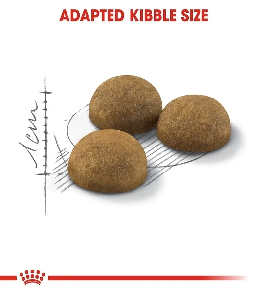 Royal Canin Indoor Long Hair Dry Cat Food 2KG
