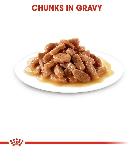 Royal Canin Kitten Instinctive In Gravy Wet Food 85G